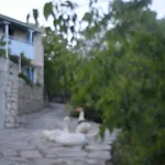 Petrinο Katochori * Katokhórion